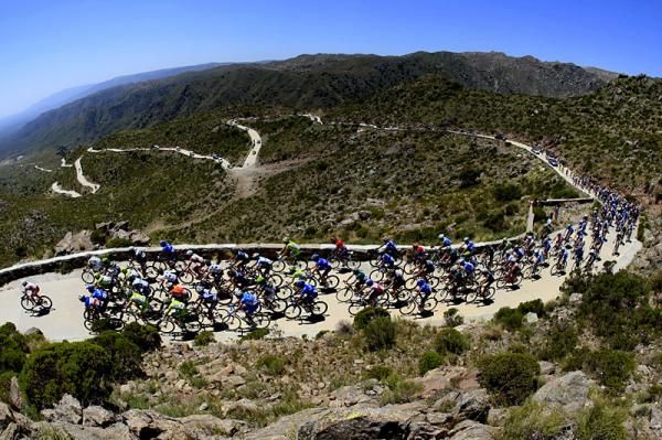 The peloton