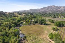 Two Creeks Farm vineyard property in Sonoma Valley