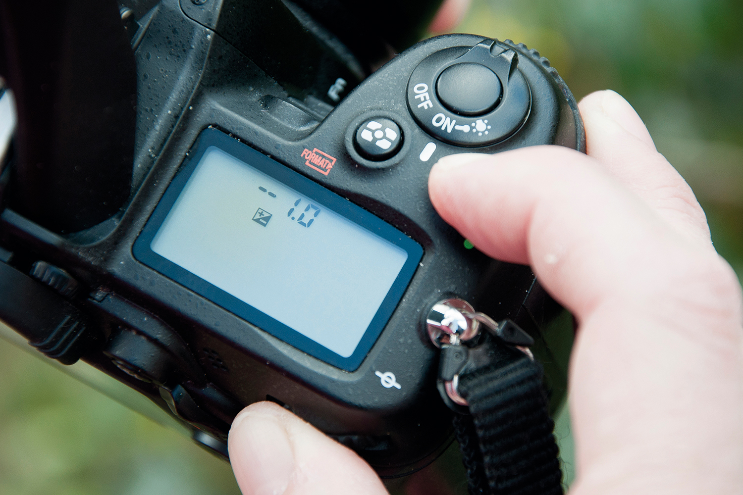 Fill-in flash: tips and tricks for using a flashgun in daylight ...