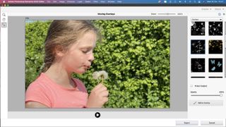 Adobe Photoshop Elements 2022