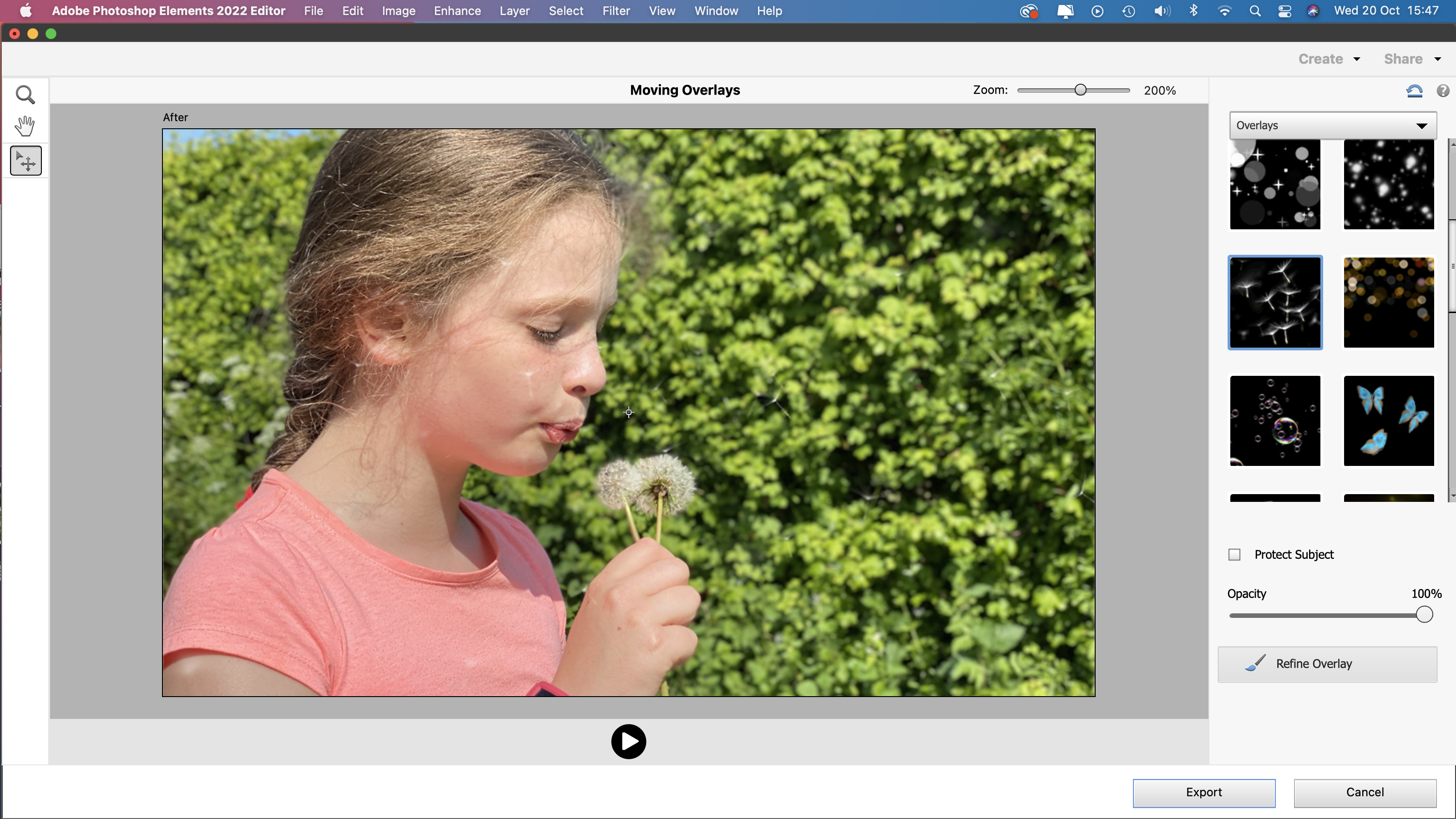 Adobe Photoshop Elements 2022