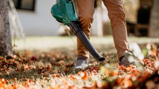 Person using a leaf blower on autumnal leaves.