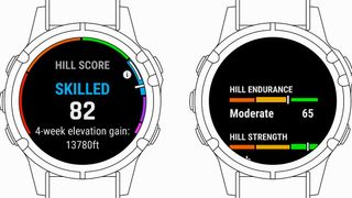 A graphic showing the Garmin Hill score