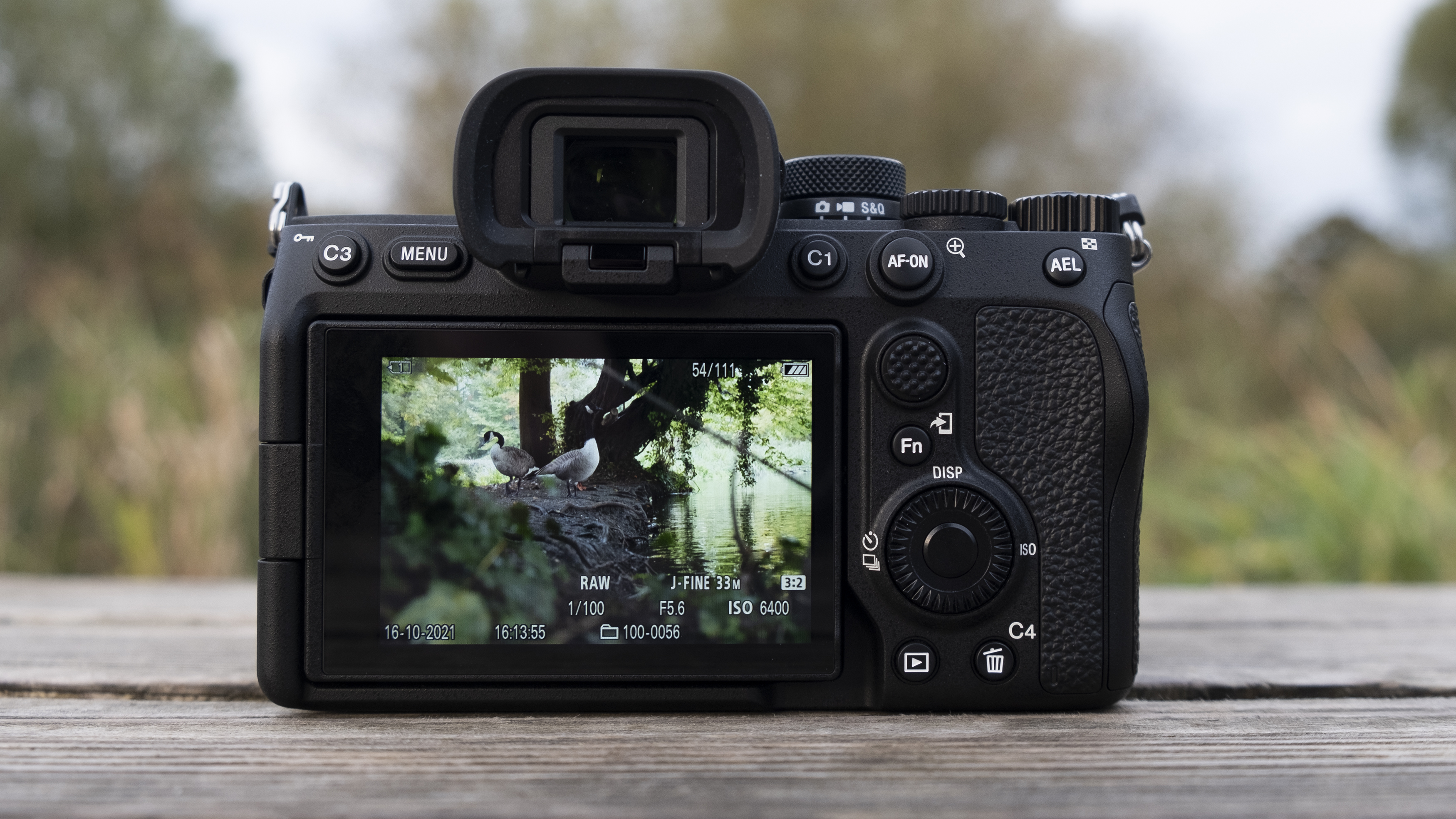 The Sony A7 IV's rear screen showing a photo of Canada geese