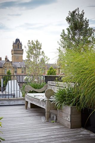 garden decking on small rooftop garden with old bench and grasses