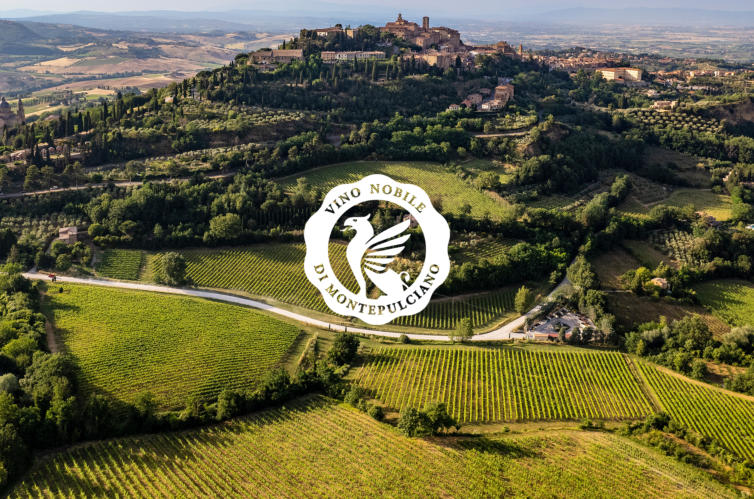 Birds eye view of vineyards with a hills with old buildings on it and trees