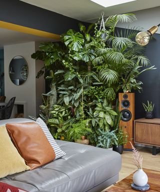 Verdant 'living wall' in lounge with variety of exotic species for a lush home jungle effect.