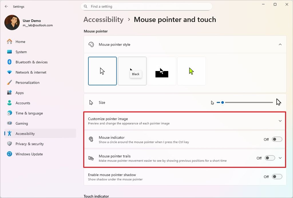 Windows 11 Settings customize mouse settings