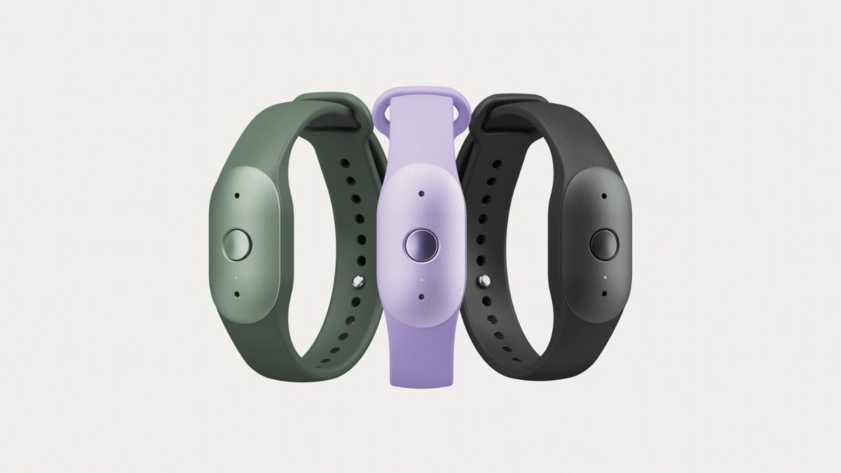 The Amazon Bee Frontier in black, purple, and green.