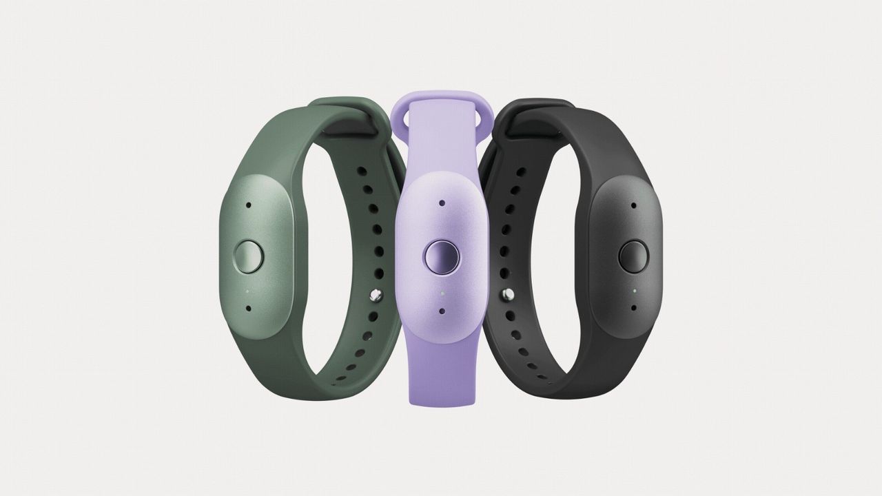 The Amazon Bee Frontier in black, purple, and green.