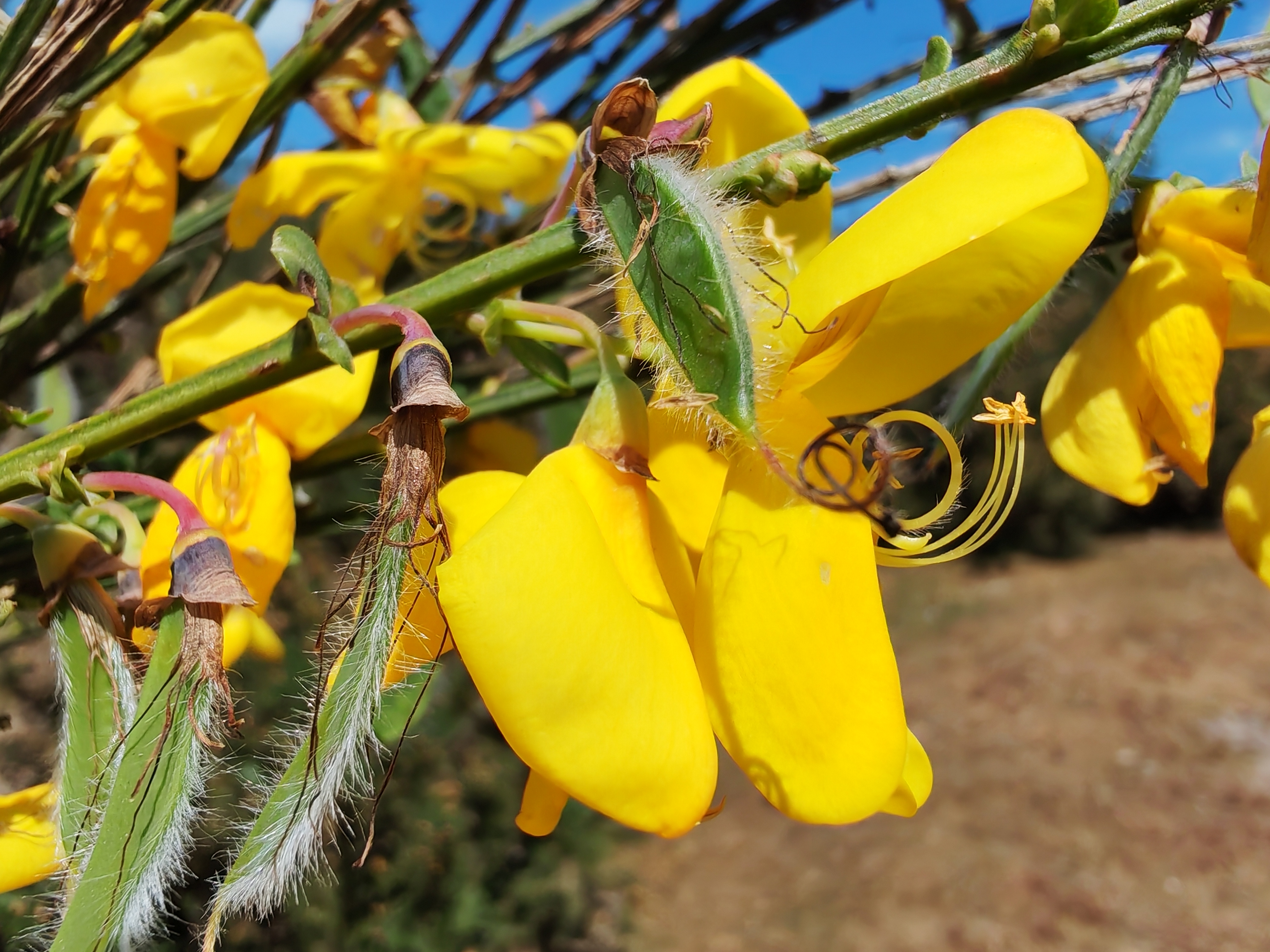Honor 400 review photo samples