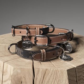 Leather dog collars by Celine