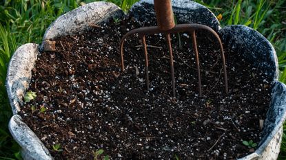 Potting soil in a flower-shaped pot with a rusty fork