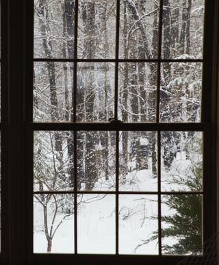 A dark window overlooking a snowy scene