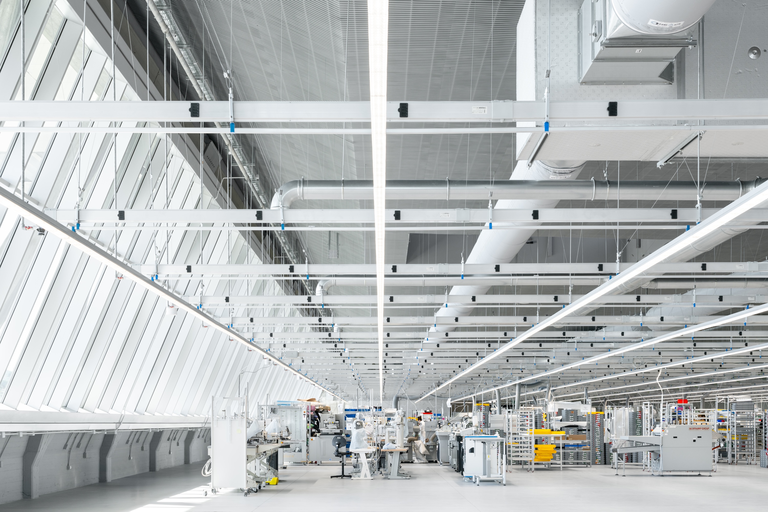 Balenciaga The Plant