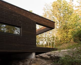 Timber cantilevering into the landscape