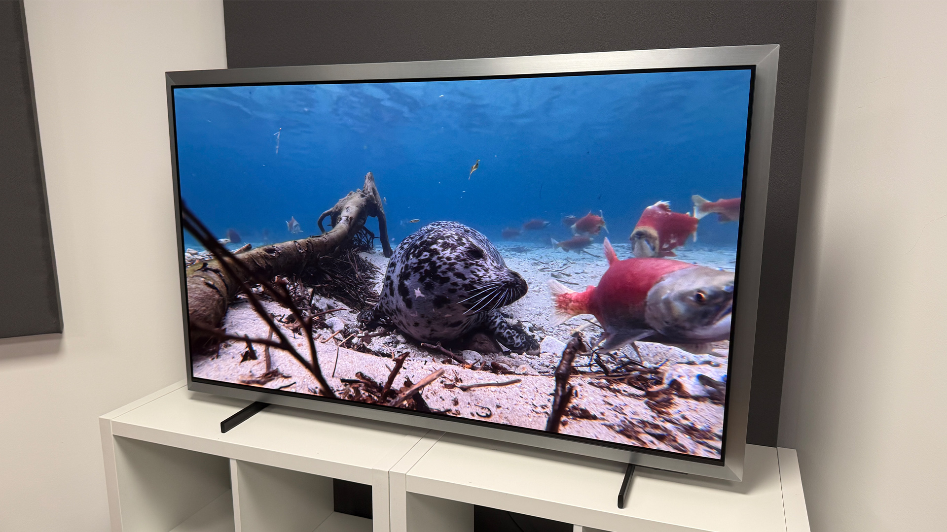 Samsung S99H 55-inch OLED TV