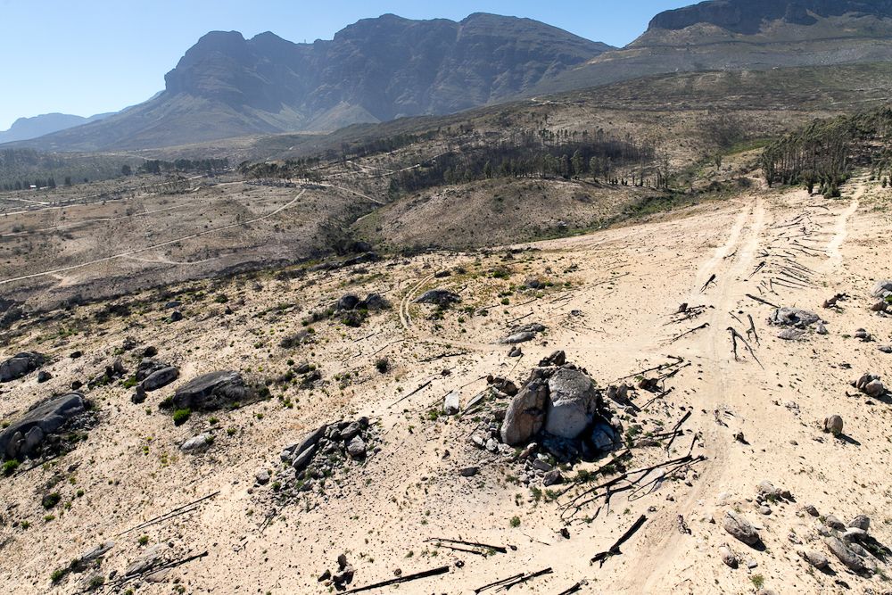 Cape Epic stage 5