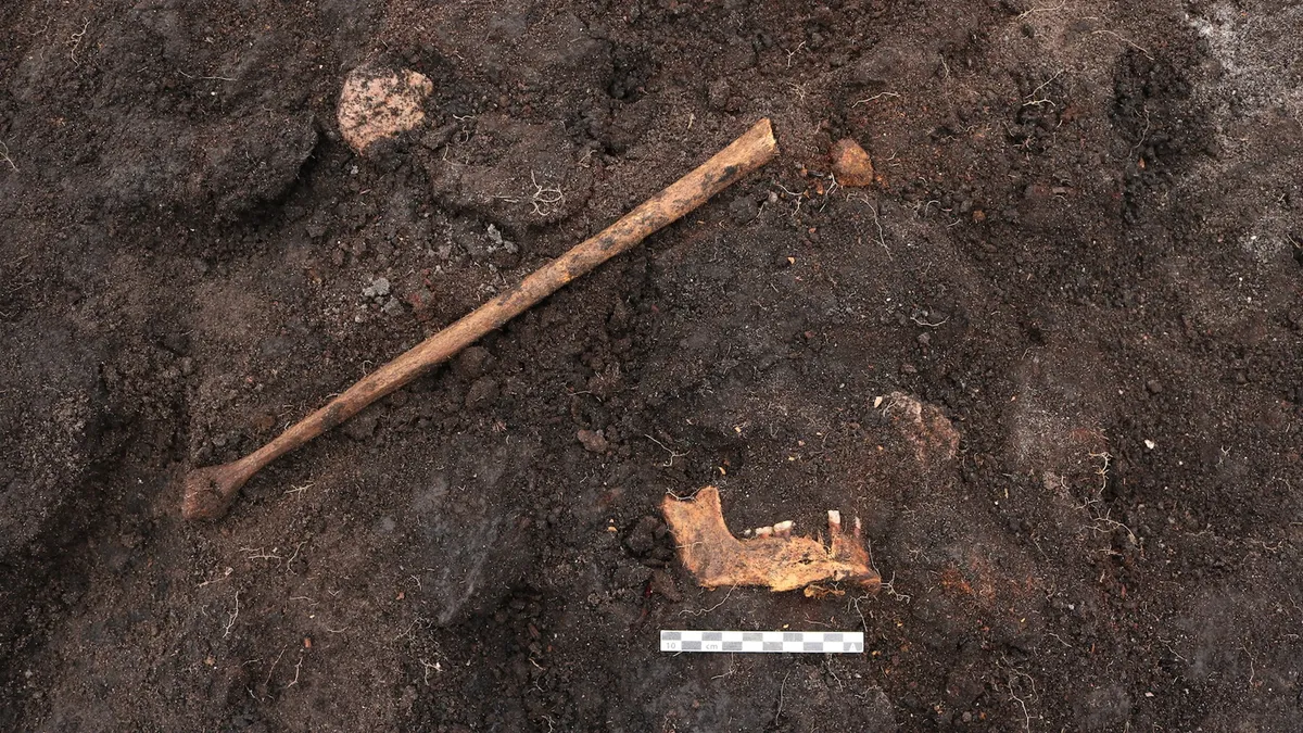 LiveScience: археологи обнаружили в Дании 5000-летние останки болотного тела