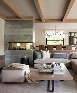 modern living room with neutral color palette and low furniture