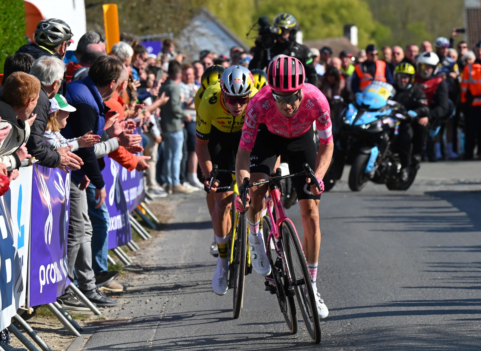 Neilson Powless