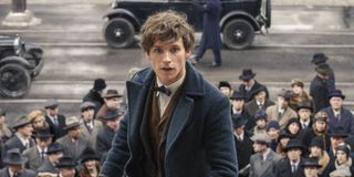 Eddie Redmayne as Newt Scaa