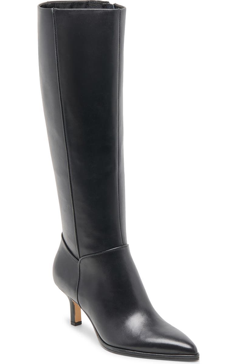 Aldy Pointed Toe Knee High Boot