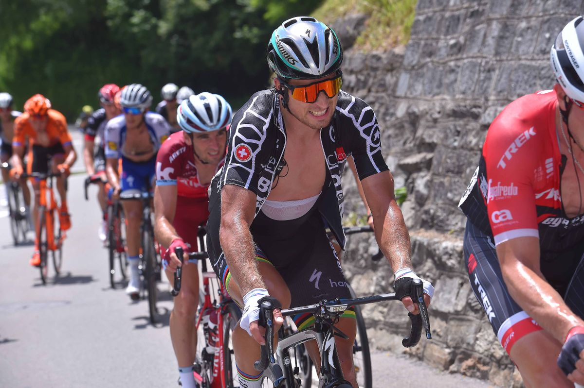 Peter Sagan (Bora-hansgrohe) in the points jersey