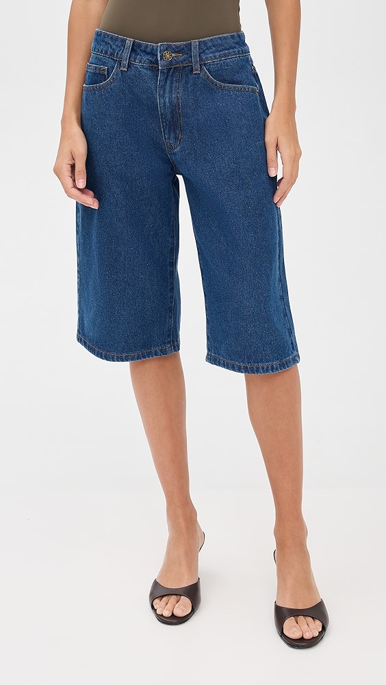 Lioness Kurt Jorts