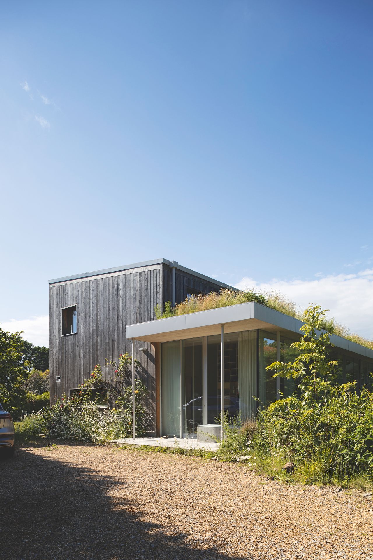 eco home with timber cladding and green roof above front door