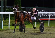 Harness_Racing_1.jpg