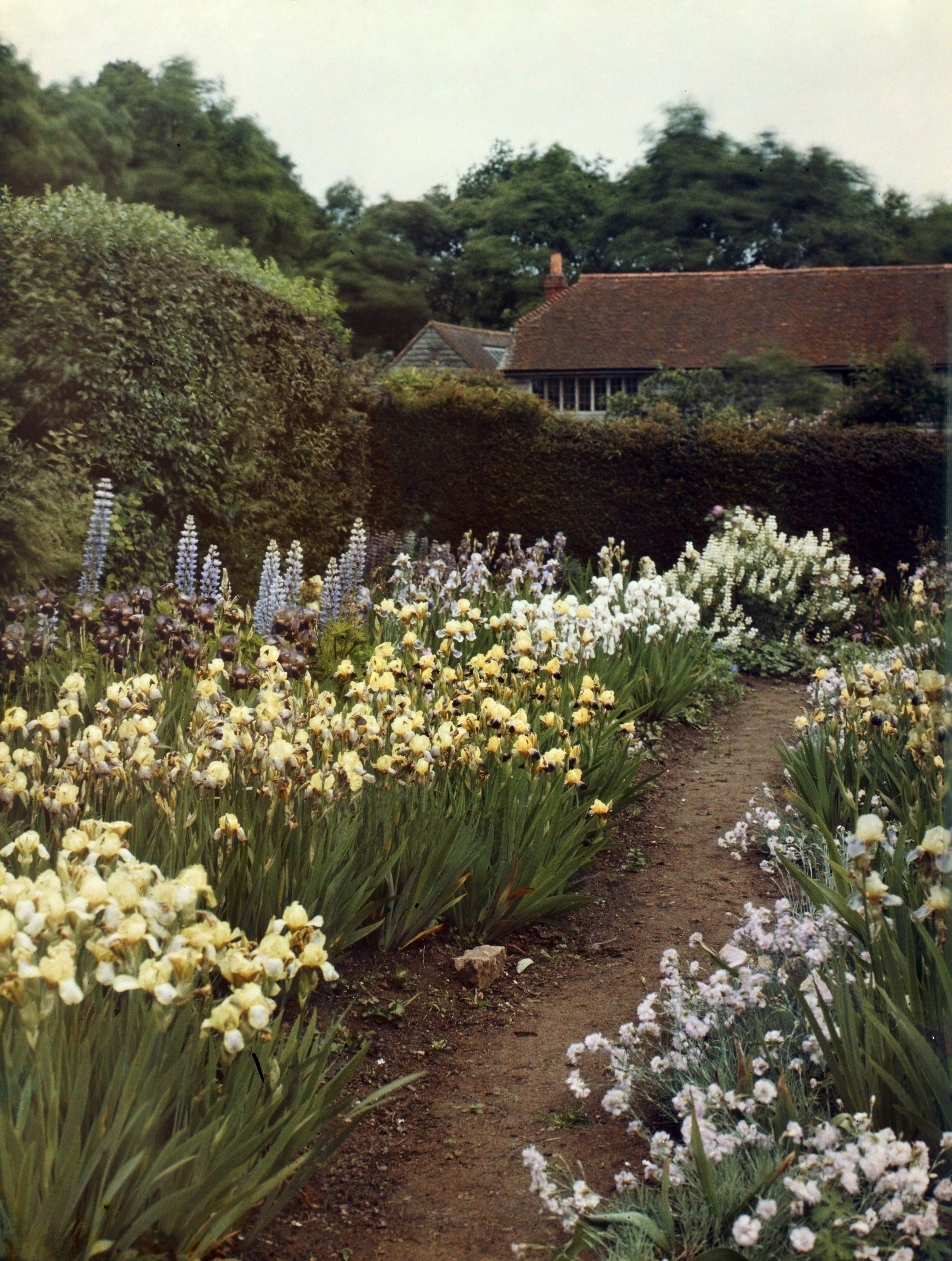 Munstead Wood garden