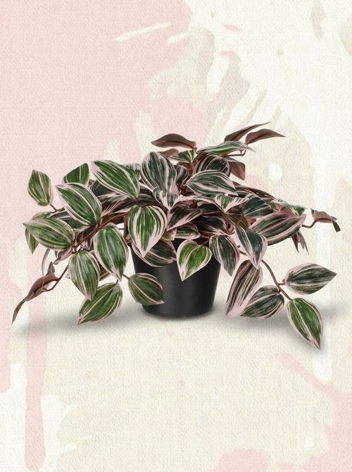Fejka Artificial Potted Plant