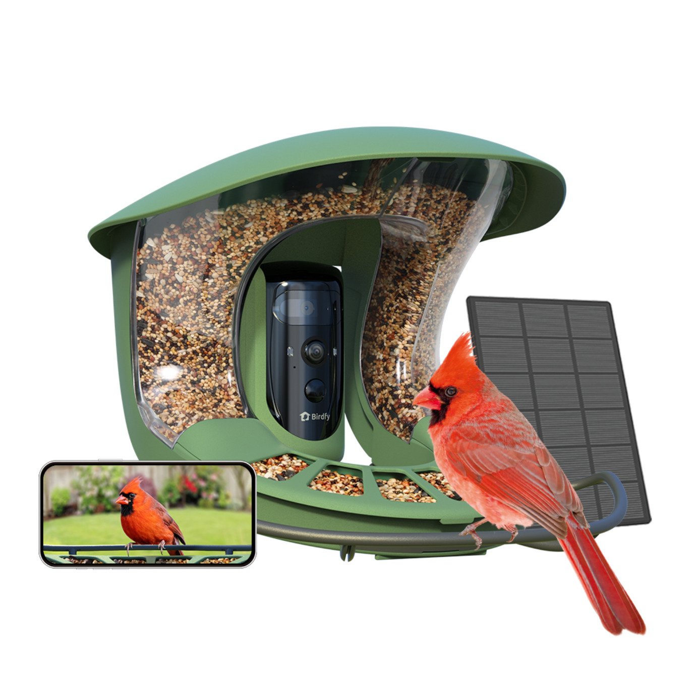 Birdfy Pro 2 Solar-Powered Smart Bird Feeder With Camera