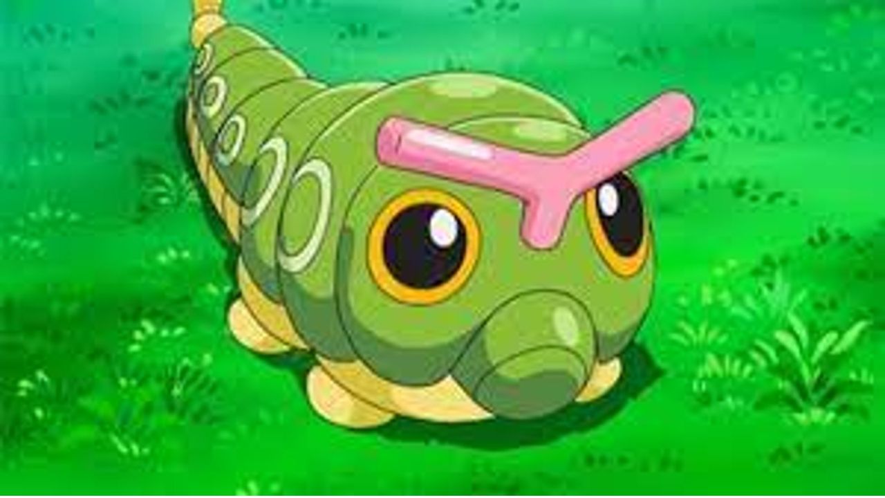 caterpie