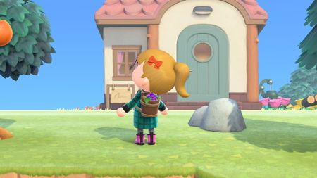 Animal Crossing: New Horizons grape harvest basket