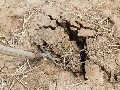 A gardening fork digs into hard, cracked earth