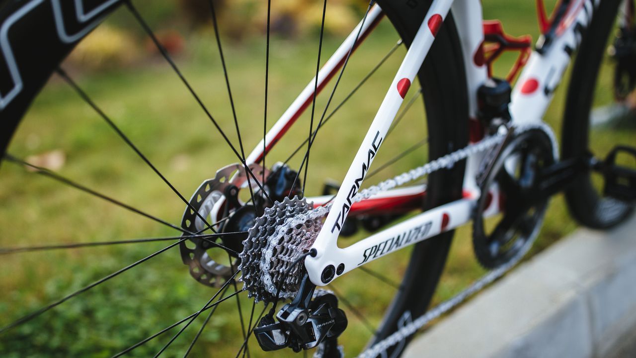 Alaphilippe's bike was equipped with a CeramicSpeed UFO chain for the final stage into Paris