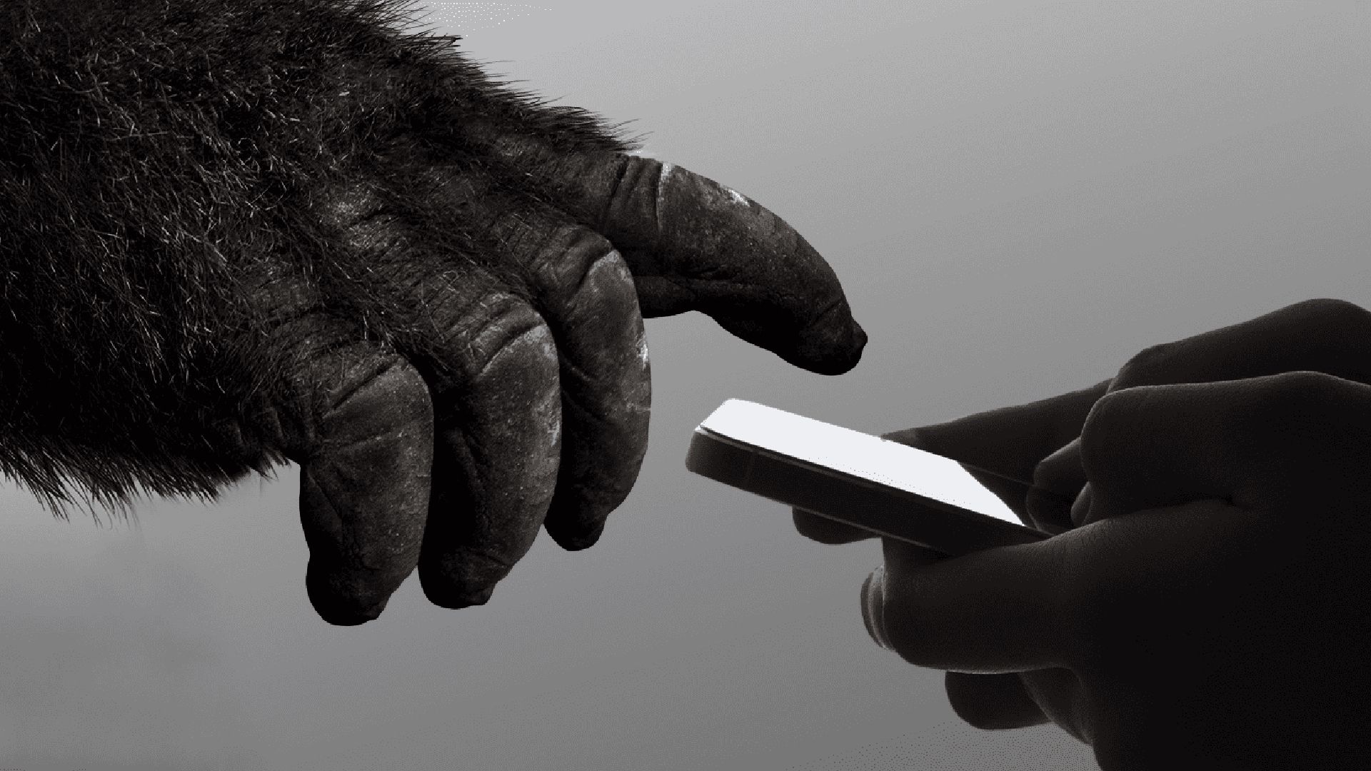 Motorola confirms that all new phones will feature Gorilla Glass ...