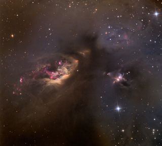 Sh2-239 Nebula