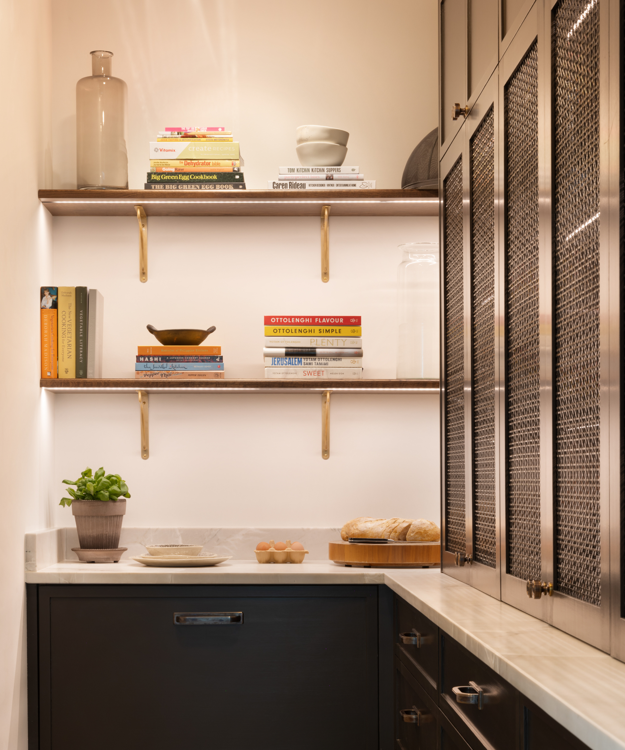 pantry with shelves and cupboard doors with grilles
