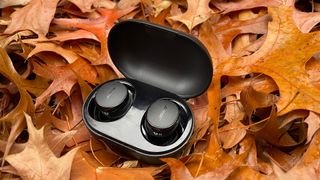 Bose QuietComfort Earbuds wireless earbuds in open case among autumn leaves