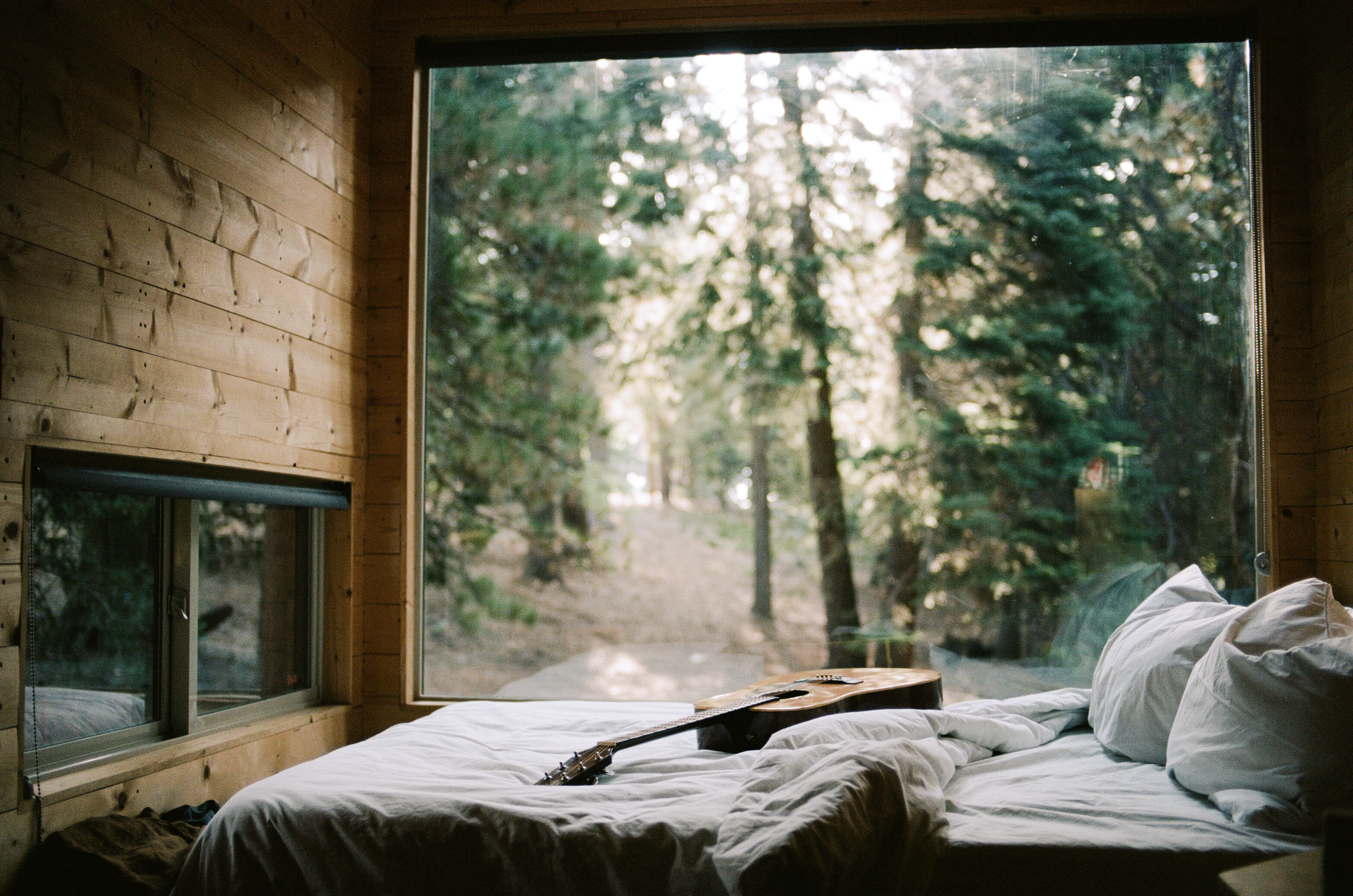 The view of the forest outside a cabin window at Postcard Cabins Hill Country