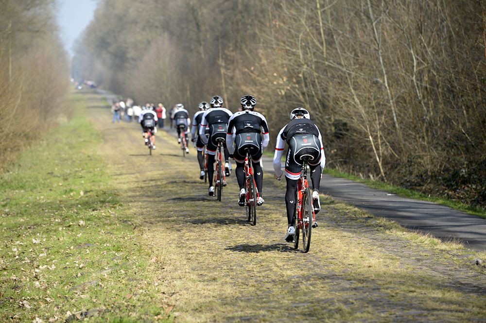 Trek in the Arenberg Forest