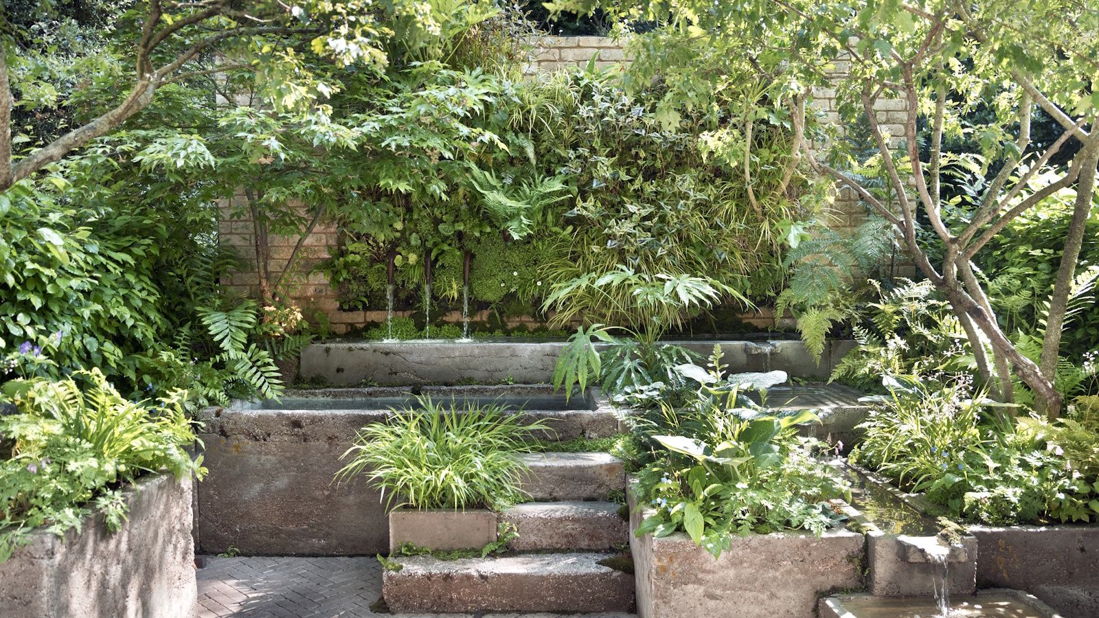 Slug Guard The One Plant You Need to Create a Slug-Proof Barrier | Homes and Gardens