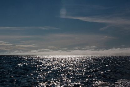 Arctic Ocean waters off the Alaskan coast. 