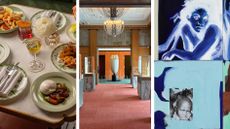 wallpaper editors picks of the week