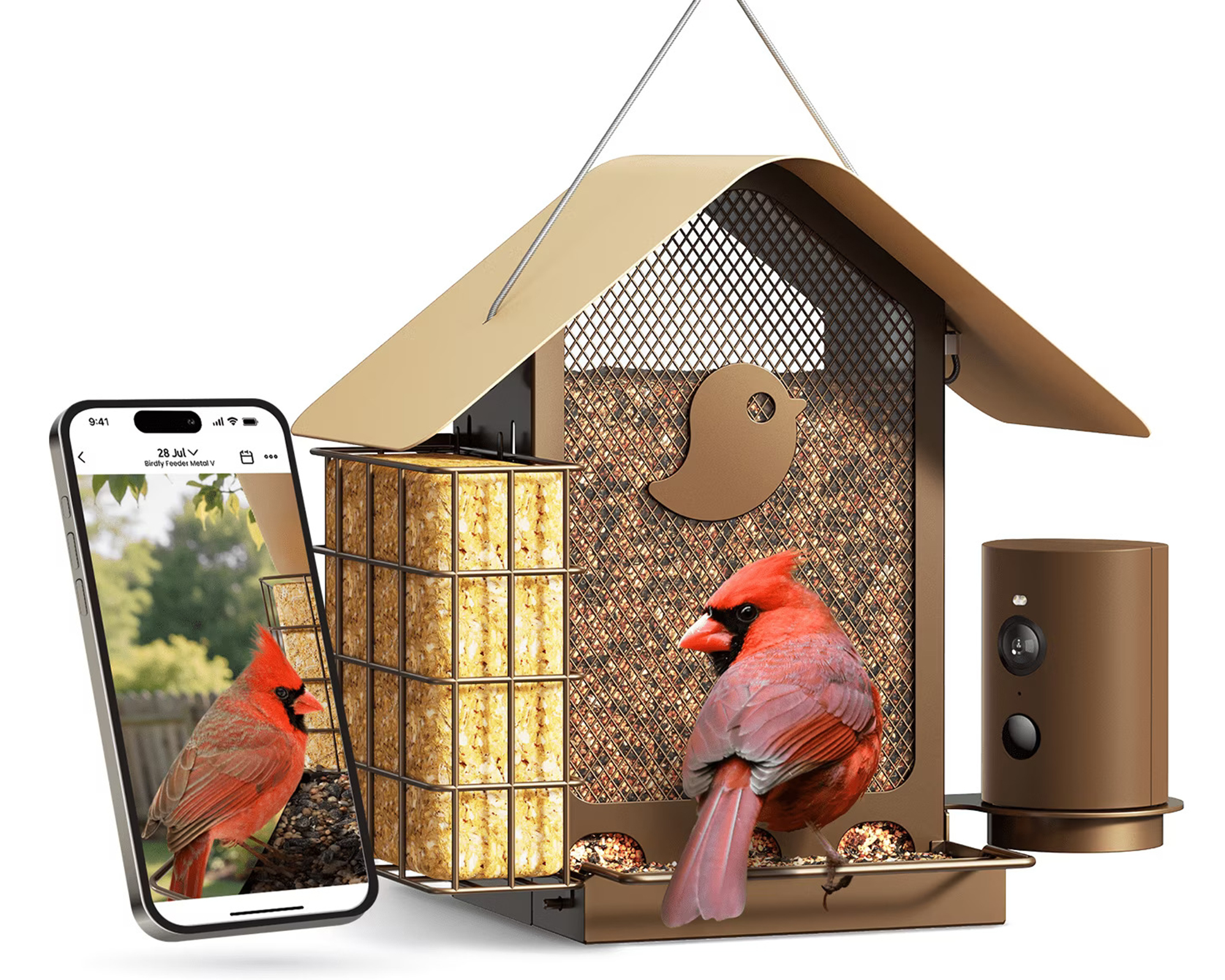 Birdfy feeder from Walmart