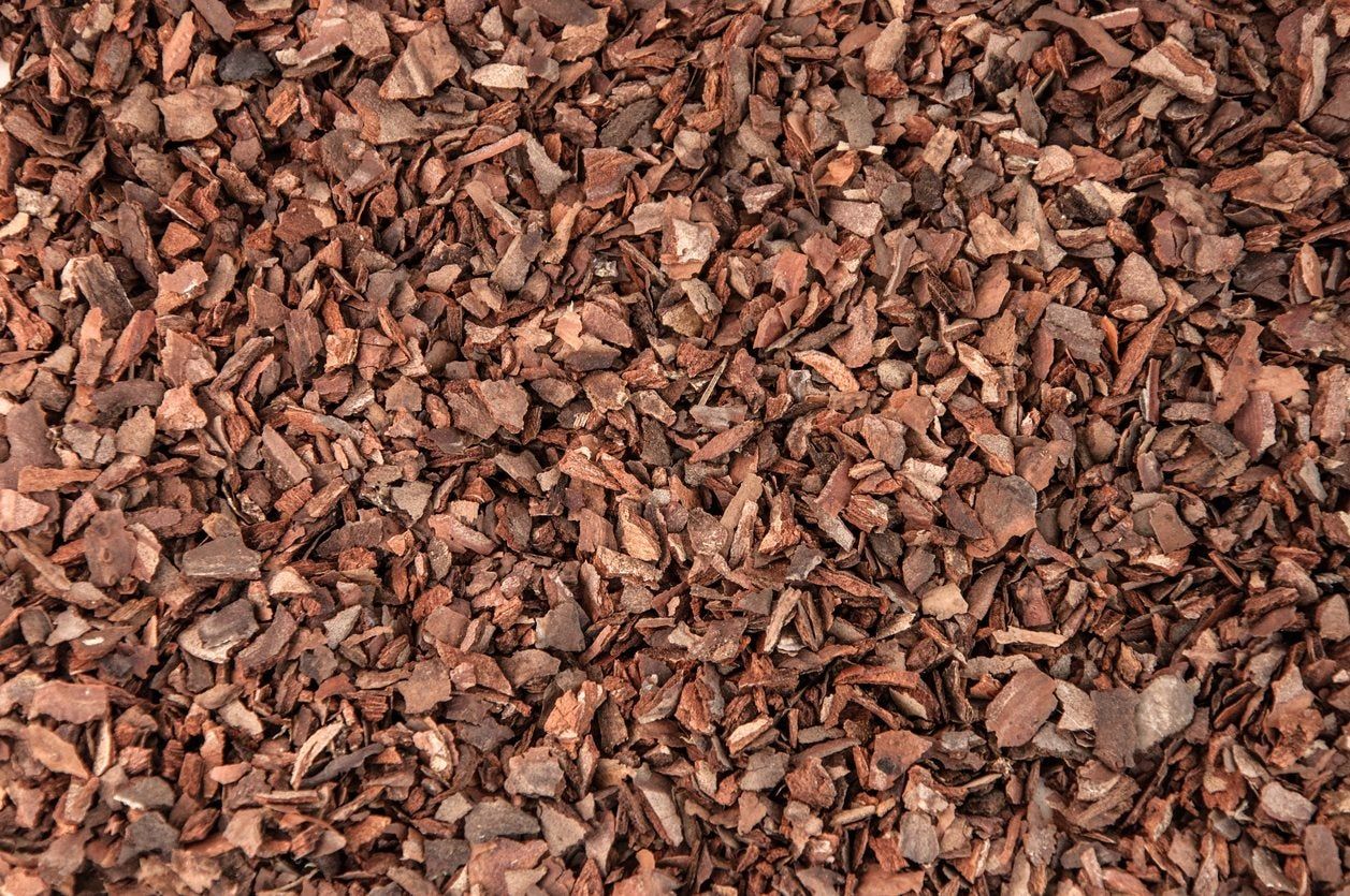 Pine Bark Mulch Uses Are There Benefits Of Pine Bark Mulch In Gardens