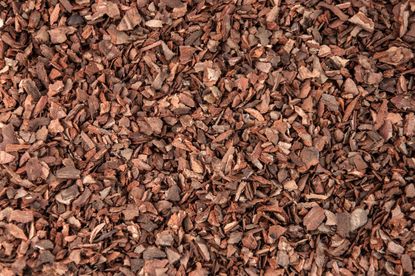 Pine Bark Mulch